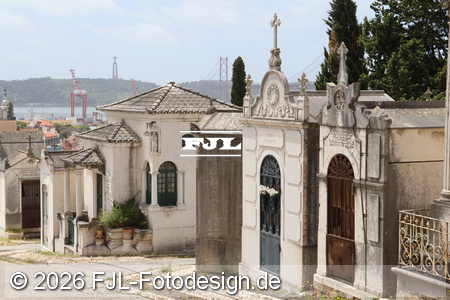 Bild-Nr.: 2602544