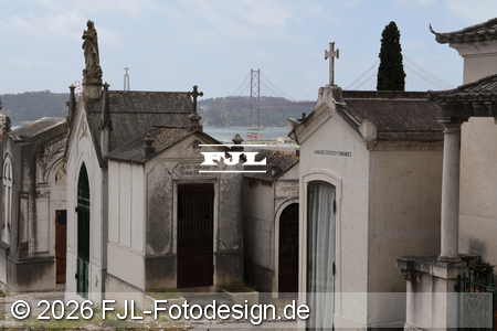 Bild-Nr.: 2602546