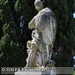 Bild-Nr./Picture No.: 2602520