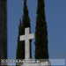 Bild-Nr./Picture No.: 2602526