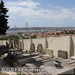Bild-Nr./Picture No.: 2602540