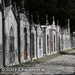 Bild-Nr./Picture No.: 2602542