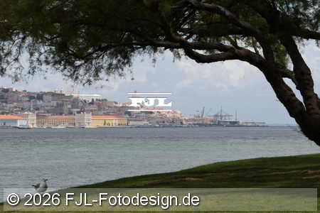 Bild-Nr.: 2602735