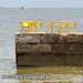 Bild-Nr./Picture No.: 2602735