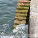 Bild-Nr./Picture No.: 2602739