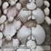Bild-Nr./Picture No.: 2602747