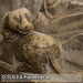 Bild-Nr./Picture No.: 2602776