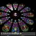 Bild-Nr./Picture No.: 2602789