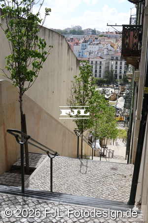 Bild-Nr.: 2603003