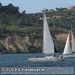 Bild-Nr./Picture No.: 2602908
