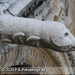 Bild-Nr./Picture No.: 2602939
