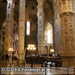 Bild-Nr./Picture No.: 2602975
