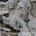 Bild-Nr./Picture No.: 2603111