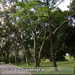Bild-Nr./Picture No.: 2603122