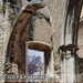 Bild-Nr./Picture No.: 2603135