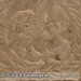 Bild-Nr./Picture No.: 2603143