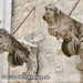 Bild-Nr./Picture No.: 2603157